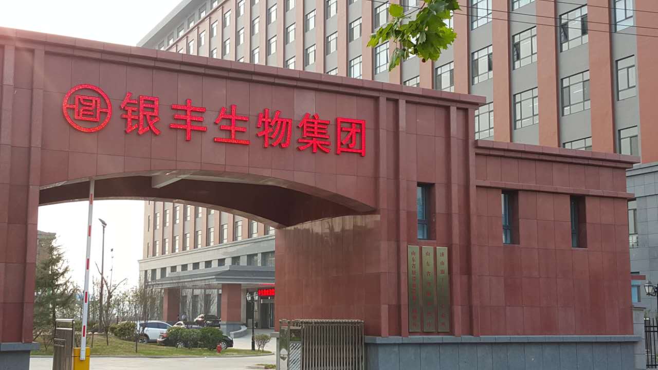 新佳真石漆,真石漆廠(chǎng)家